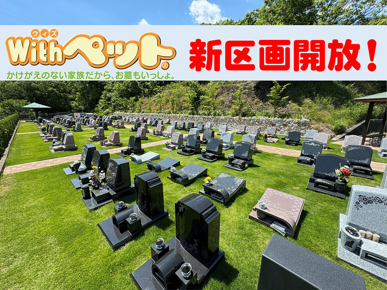 Withペット芝生区画イメージ