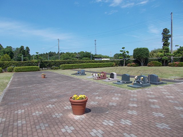 chibahigashi-20240602a.jpg